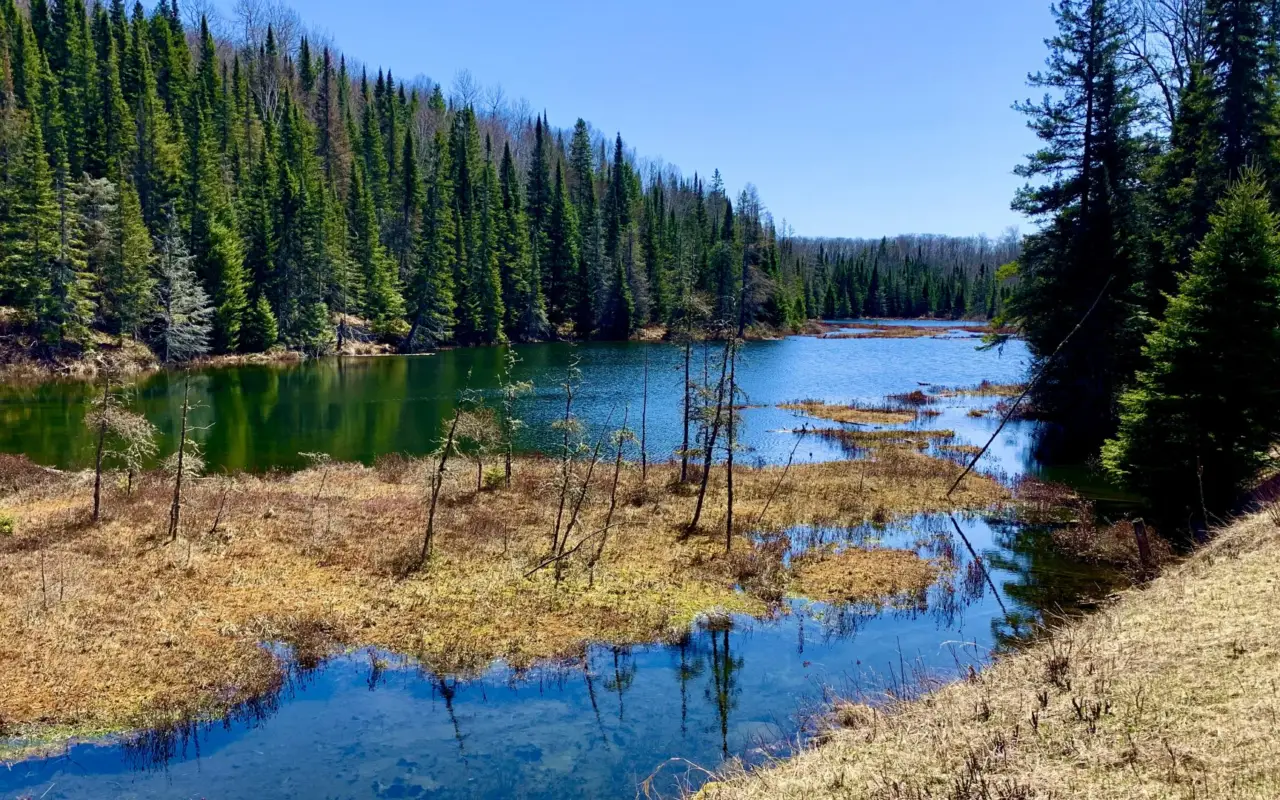 Parc Algonquin