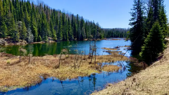 Balade au coeur du Parc provincial Algonquin