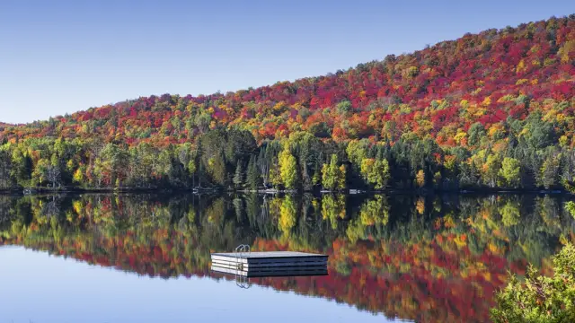 lac entourée d'arbres aux feuilles colorées, été indien