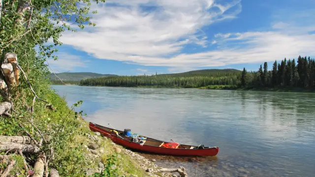 Whitehorse