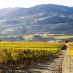 Les Vallées de l'Okanagan et de Thompson