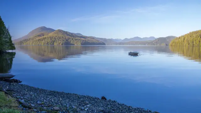 voyage road trip seattle vancouver tofino