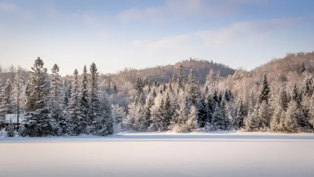paysage enneigé