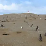 Iles de la Madeleine