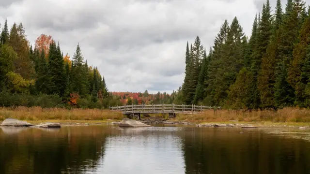Parc national Frontenac