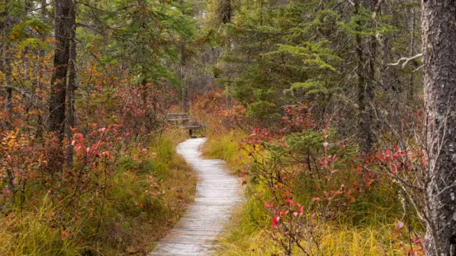 Parc national Frontenac