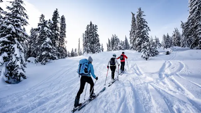 Randonnée en ski hiver