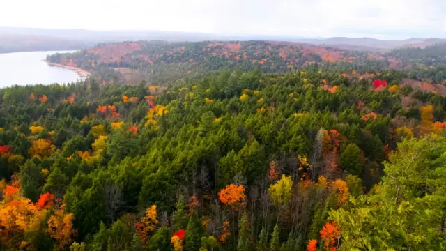 Parc algonquin