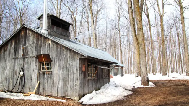 Cabane à sucre au Canada