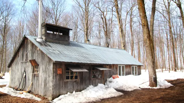 Cabane à sucres au Canada en hiver