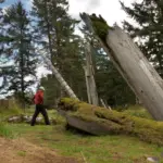Haida Gwaii