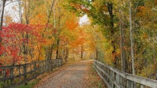 Voyage pendant <b>l&rsquo;été indien au Québec</b>