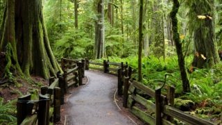 Sensationnelle île de Vancouver