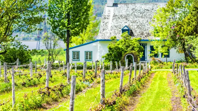 Vignobles de Sherbrooke au Canada