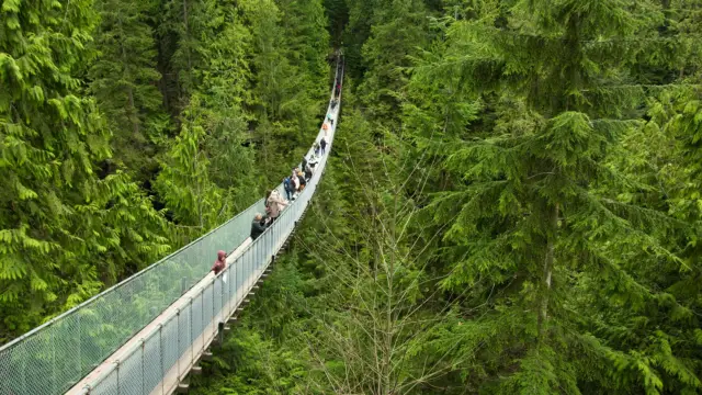Pont Capilano au Canada