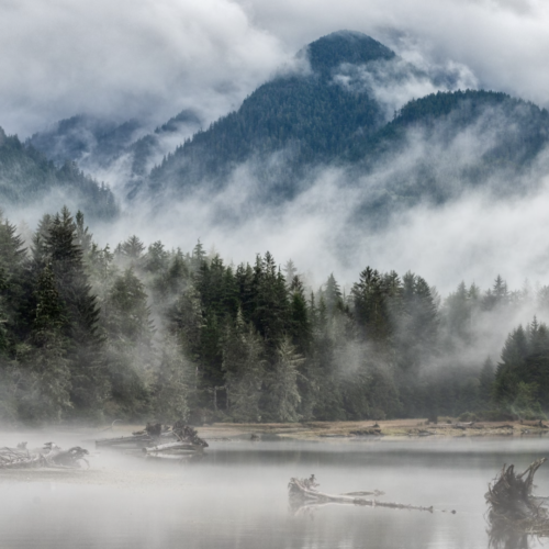 Ralentissez et savourez l’île de Vancouver hors-saison
