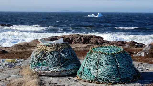 Casier de pêche de l'Ile Fogo