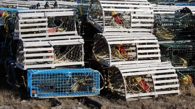 Casier de pêche à Terre-Neuve au Canada