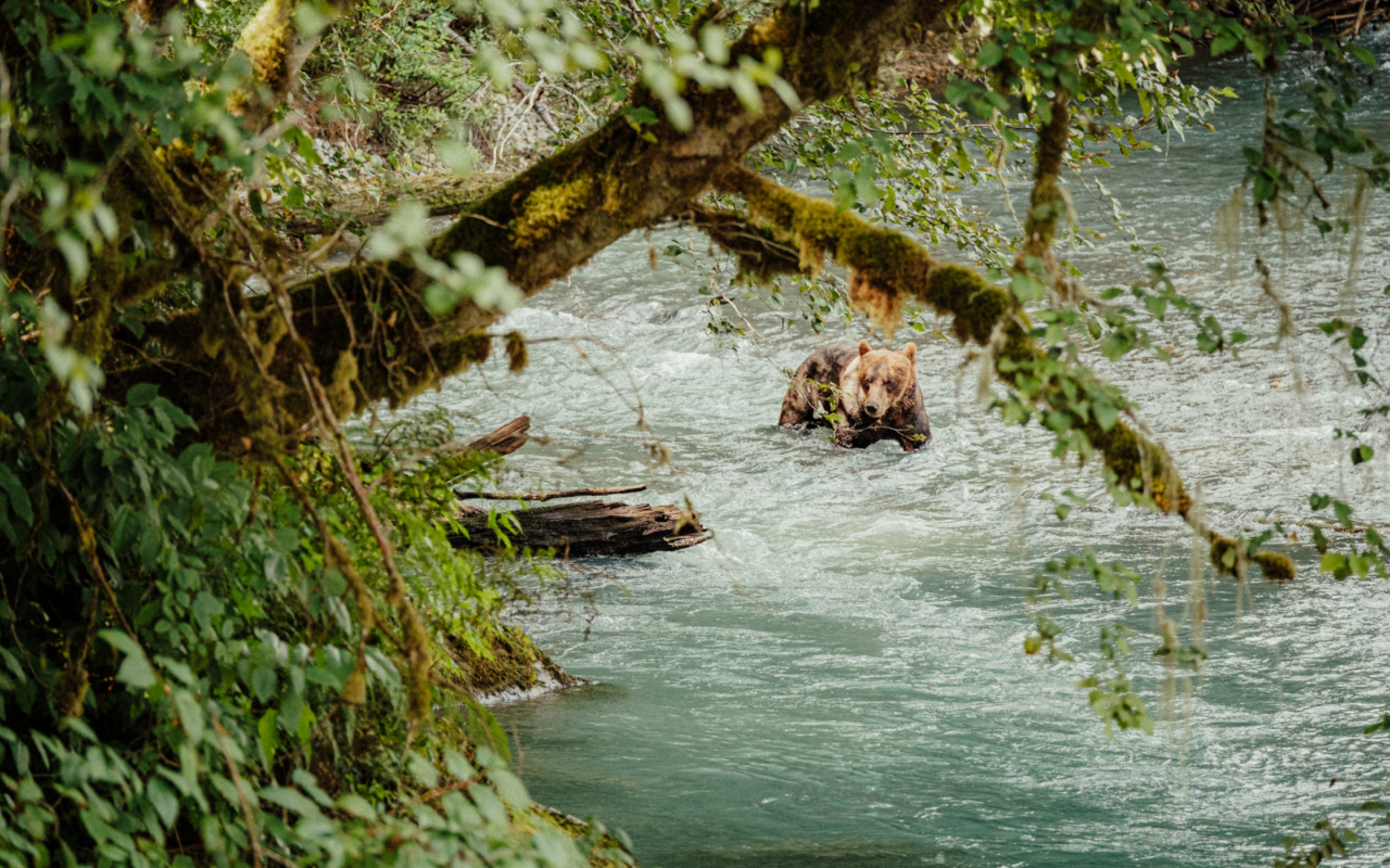 DC-BC-DSCF1935© Destination Canada