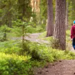 Voyage en famille dans l'Ouest du Canada, en kayac