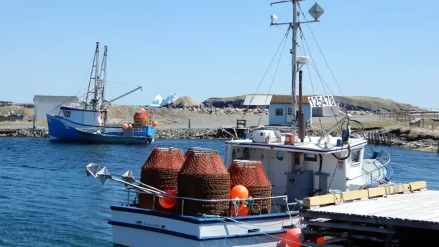 Peninsule d'Avalon