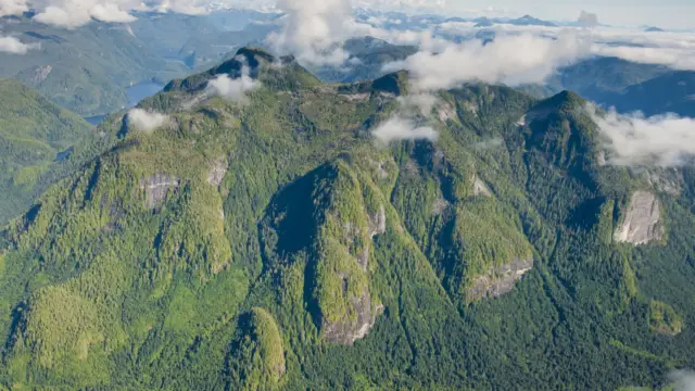 Great Bear Rainforest au Canada