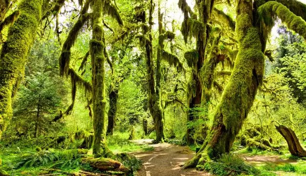 voyage road trip seattle vancouver