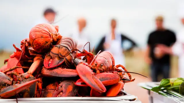Homards - ©Tourism PEI / Stephen Harris