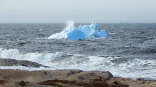 Iceberg au Canada