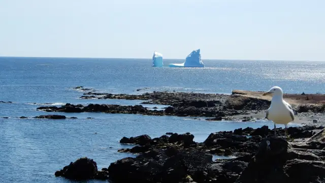 Iceberg dans la mer à Terre-Neuve au Canada