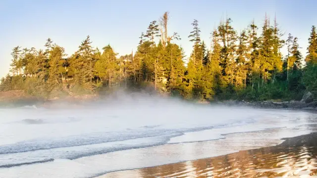 voyage road trip seattle vancouver tofino