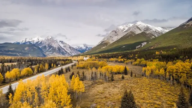 Forêt de Kananaskis en Alberta au Canada