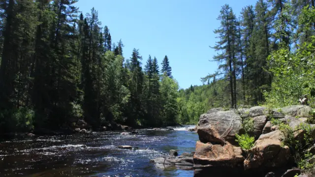 Lac Saint-Jean au Québec au Canada