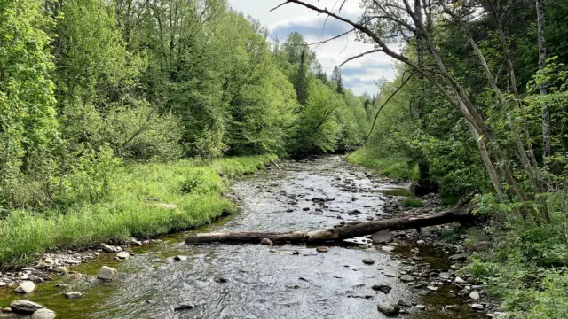 Rivière de l'Or