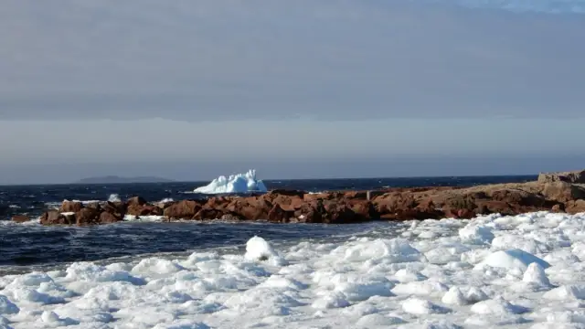 Mer enneigée à Terre-Neuve au Canada