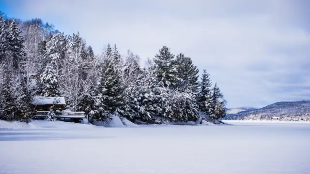 Forêt enneigée au Québec au Canada