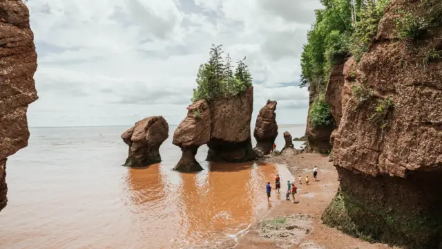 © New Brunswick Tourism / Parc provincial des rochers Hopewell