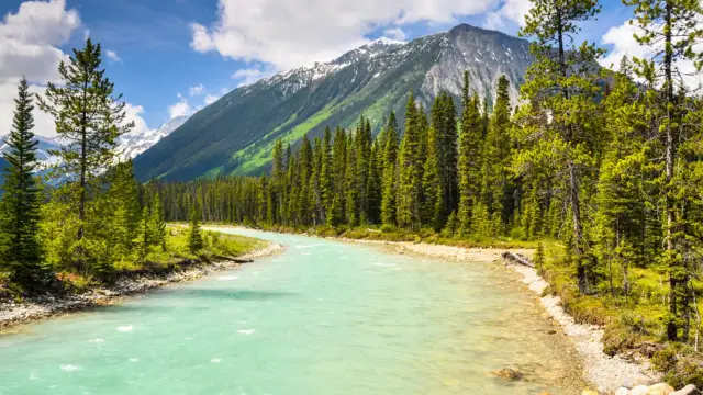 Les Kootenays au Canada