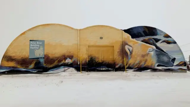fresque murale ours à Churchill Baie d'Hudsonau canada