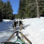 Le Yukon