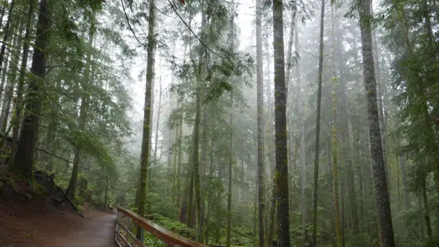 Parc Provincial Strathcona
