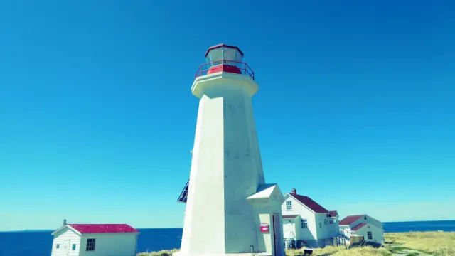 Ile aux Perroquets