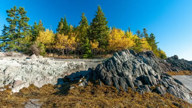 Le Parc National du Bic