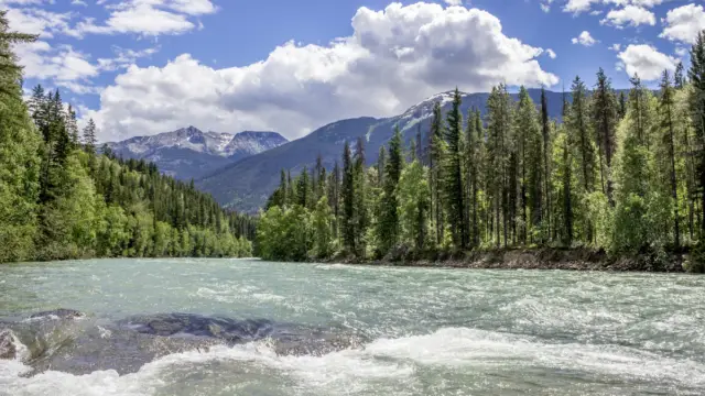 Parc national de Jasper dans les Rocheuses canadiennes