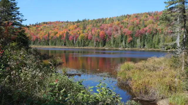 Le Parc National de la Mauricie