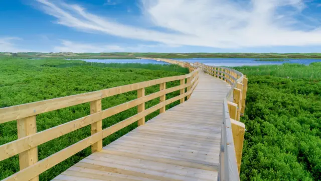 Parc National Peu Greenwich au Canada