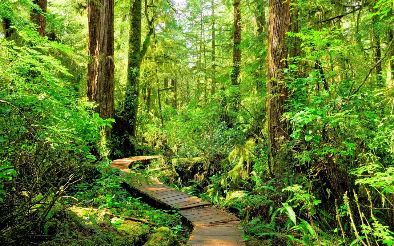 Pacific Rim National Park
