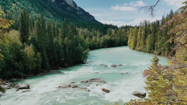 Le parc provincial de Wells Gray au Canada près des rocheuses canadiennes en hiver