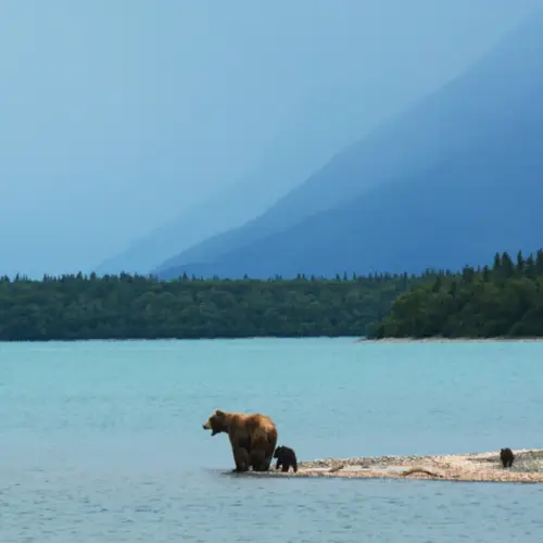 La grande traversée du Canada en 2 mois – d’est en ouest version slow travel