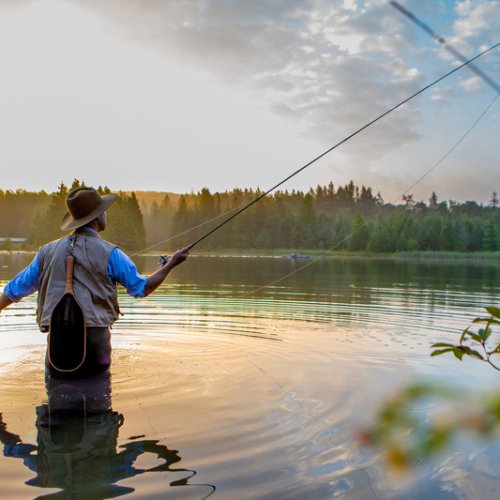 Pêche au Canada : la destination ultime pour les amoureux de la nature et des grands espaces